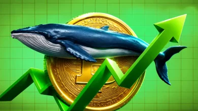 A massive digital blue whale stylized with integrated circuit and stock market chart lines swimming alongside several floating physical gold Bitcoin coins.